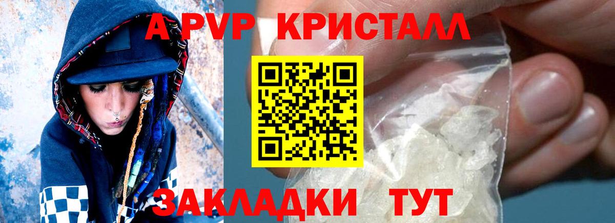 Альфа ПВП СК Курган