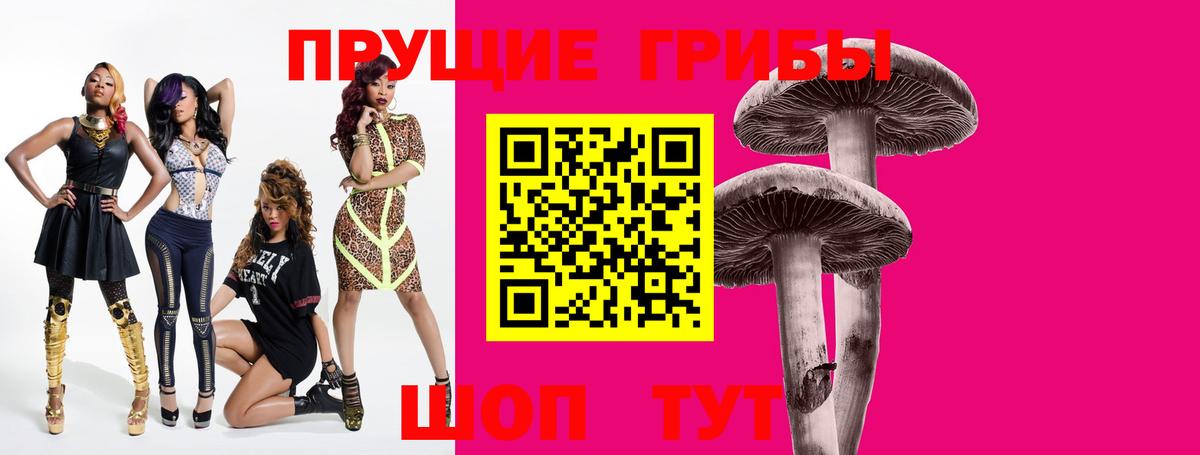 Галлюциногенные грибы мицелий  Псилоцибиновые грибы GOLDEN TEACHER  Курган  как найти   Вход с VPN 